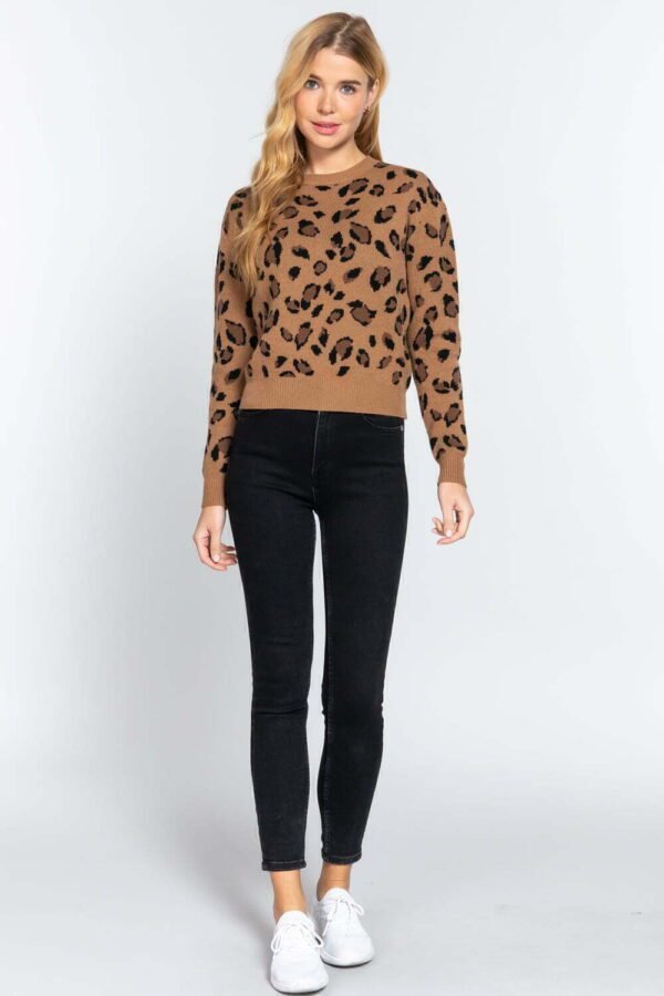 Long Slv Print Jacquard Sweater